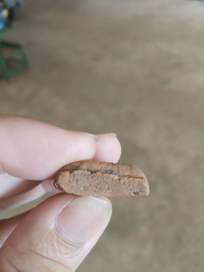 พระเนื้อดิน(พระพิมพ์พระนางพญาหลังเรียบ(ไม่สวยขอคนรับได้)(200217)(ไม่ทราบพระเกจิที่สร้าง))พระบ้านพระเครื่องรางของมงคล รูปที่ 12