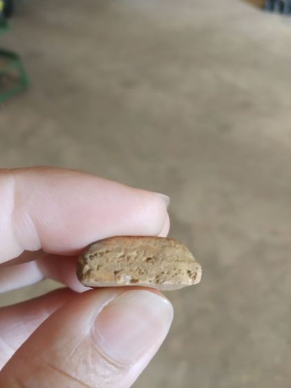 พระเนื้อดิน(พระพิมพ์พระนางพญาหลังเรียบ(ไม่ค่อยสวย)(200216)(ไม่ทราบพระเกจิที่สร้าง))พระบ้านพระเครื่องรางของมงคล รูปที่ 13