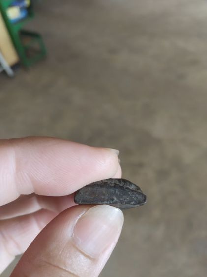 พระเนื้อดินผสมผงใบลานพิมพ์เล็ก(พระพิมพ์พระนางพญาเนื้อออกสีดำพิมพ์เล็ก(160201)(ไม่ทราบพระเกจิที่สร้าง))พระบ้านพระเครื่องรางของมงคล รูปที่ 14