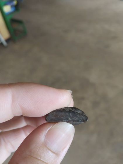 พระเนื้อดินผสมผงใบลานพิมพ์เล็ก(พระพิมพ์พระนางพญาเนื้อออกสีดำพิมพ์เล็ก(160201)(ไม่ทราบพระเกจิที่สร้าง))พระบ้านพระเครื่องรางของมงคล รูปที่ 15