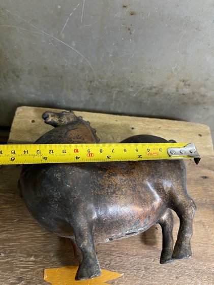 ม้าทองเหลืองสะสม รูปที่ 9