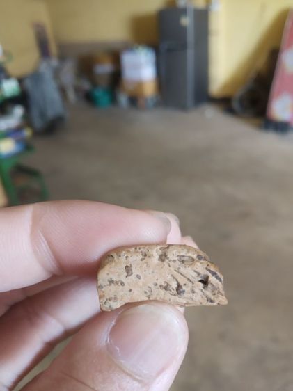 พระเนื้อดิน(พระพิมพ์พระนางพญาหลังเรียบเนื้อออกสีขาว(ไม่ค่อยสวยขอคนที่รับได้)(200211)(ไม่ทราบพระเกจิที่สร้าง))พระบ้านพระเครื่องรางของมงคล รูปที่ 14