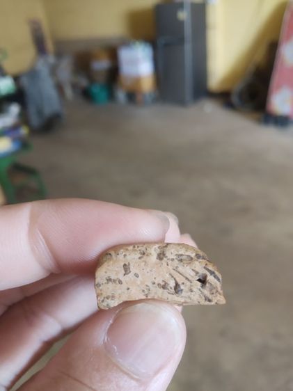 พระเนื้อดิน(พระพิมพ์พระนางพญาหลังเรียบเนื้อออกสีขาว(ไม่ค่อยสวยขอคนที่รับได้)(200211)(ไม่ทราบพระเกจิที่สร้าง))พระบ้านพระเครื่องรางของมงคล รูปที่ 13