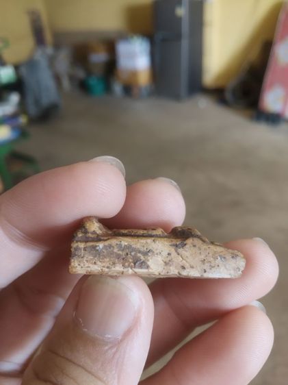 พระเนื้อดิน(พระพิมพ์พระนางพญาหลังเรียบเนื้อออกสีขาว(ไม่ค่อยสวยขอคนที่รับได้)(200211)(ไม่ทราบพระเกจิที่สร้าง))พระบ้านพระเครื่องรางของมงคล รูปที่ 17