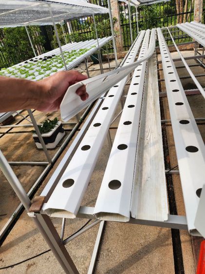 โต๊ะปลูกผักไฮโดรโปนิกส์ 240 ต้น 8 รางพร้อมอุปกรณ์ครบ รูปที่ 9