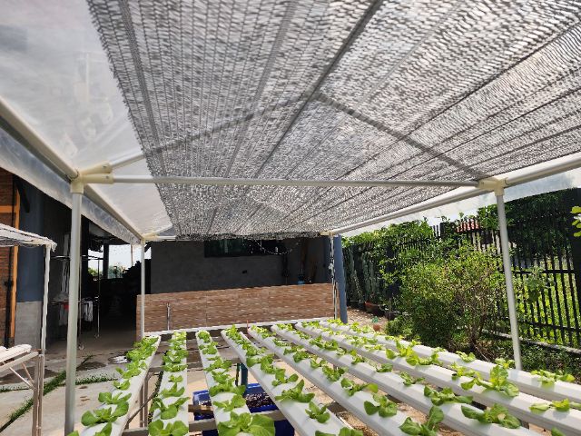 โต๊ะปลูกผักไฮโดรโปนิกส์ 240 ต้น 8 รางพร้อมอุปกรณ์ครบ รูปที่ 13