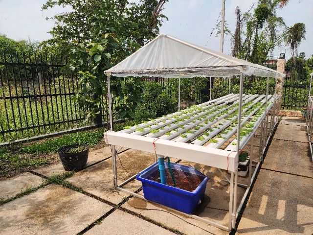 โต๊ะปลูกผักไฮโดรโปนิกส์ 240 ต้น 8 รางพร้อมอุปกรณ์ครบ รูปที่ 3