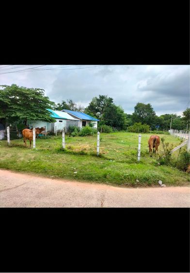 ที่ดินถมแล้ว 175ตรว.อุบลราชธานี รูปที่ 3