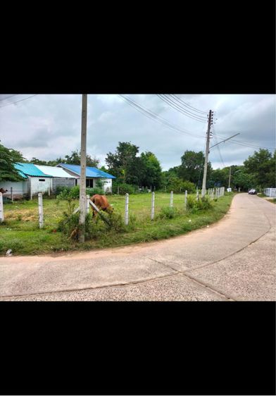ที่ดินถมแล้ว 175ตรว.อุบลราชธานี รูปที่ 2
