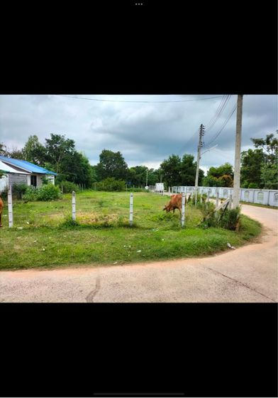 ที่ดินถมแล้ว 175ตรว.อุบลราชธานี รูปที่ 4