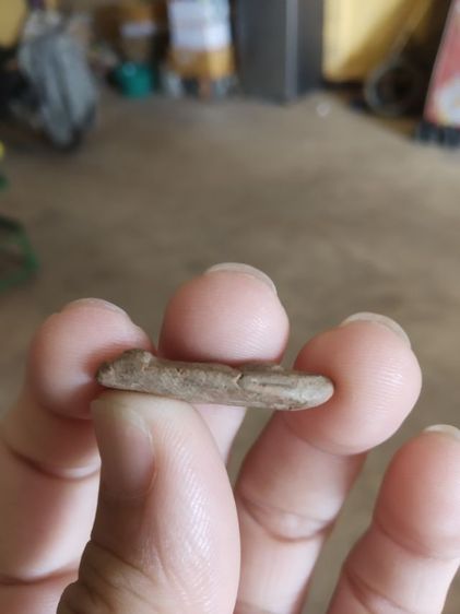 พระเนื้อดินพิมพ์เล็ก(พระพิมพ์พระนางพญาหลังเรียบ(รูปทรงเรียวเล็ก)(260302)(ไม่ทราบพระเกจิที่สร้าง))พระบ้านพระเครื่องรางของมงคล รูปที่ 17