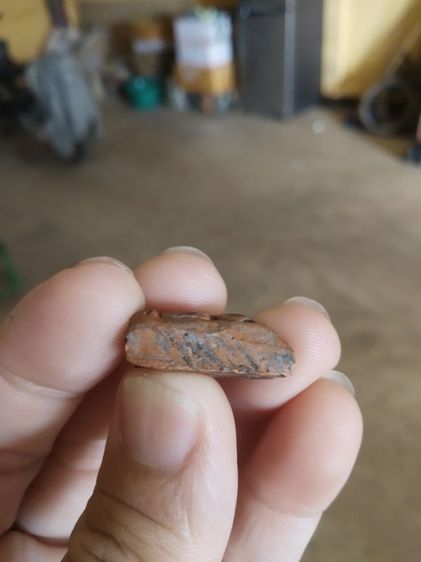 พระเนื้อดินพิมพ์เล็ก(พระพิมพ์พระนางพิมพ์เล็กหลังเรียบ(260309)(ไม่ทราบพระเกจิที่สร้าง))พระบ้านพระเครื่องรางของมงคล รูปที่ 11