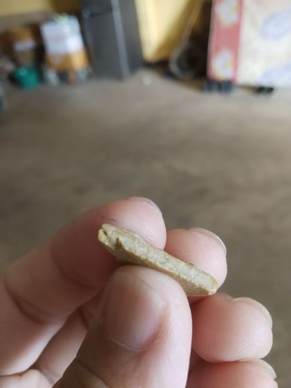 พระเนื้อผงน้ำมันพิมพ์เล็ก(พระพิมพ์พระนางพญานั่งบัว(ไม่สวยมีตำหนิแตกหัก)(260311)(ไม่ทราบพระเกจิที่สร้าง))พระบ้านพระเครื่องรางของมงคล รูปที่ 9