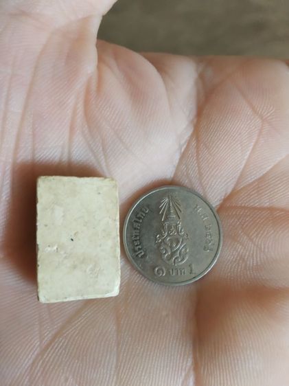 พระเนื้อผงผสมว่านพิมพ์เล็ก(พระพิมพ์พระพุทธชินราชหลังเนียนเรียบ(260312)(ไม่ทราบพระเกจิที่สร้าง))พระบ้านพระเครื่องรางของมงคล รูปที่ 12