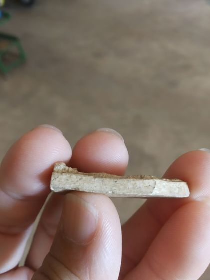 พระเนื้อผงพุทธคุณ(พระร่วงโรจน์ฤทธิ์(ในซุ้มเรือนแก้ว)หลังเรียบ(ไม่ค่อยสวยขอคนที่รับได้)(ไม่ทราบพระเกจิที่สร้าง))พระบ้านพระเครื่องรางของมงคล รูปที่ 18