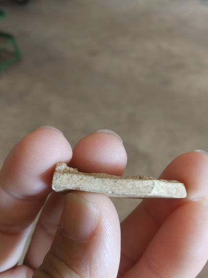 พระเนื้อผงพุทธคุณ(พระร่วงโรจน์ฤทธิ์(ในซุ้มเรือนแก้ว)หลังเรียบ(ไม่ค่อยสวยขอคนที่รับได้)(ไม่ทราบพระเกจิที่สร้าง))พระบ้านพระเครื่องรางของมงคล รูปที่ 15