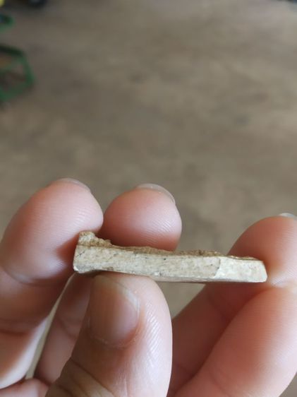 พระเนื้อผงพุทธคุณ(พระร่วงโรจน์ฤทธิ์(ในซุ้มเรือนแก้ว)หลังเรียบ(ไม่ค่อยสวยขอคนที่รับได้)(ไม่ทราบพระเกจิที่สร้าง))พระบ้านพระเครื่องรางของมงคล รูปที่ 17