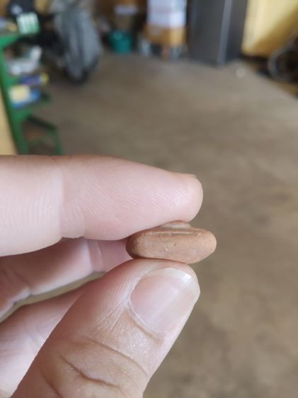 พระเนื้อดินพิมพ์กลาง(พระยืนประทานพร(เจ้าคุณใหญ่)(ผสมผงเก่าแม่ชีบุญเรือน)(เจ้าคุณพระสิทธิสารโสภณ)วัดอาวุธวิกสิตาราม(กรุงเทพฯปี2514))พระบ้าน รูปที่ 13