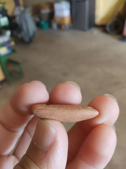 พระเนื้อดินพิมพ์กลาง(พระยืนประทานพร(เจ้าคุณใหญ่)(ผสมผงเก่าแม่ชีบุญเรือน)(เจ้าคุณพระสิทธิสารโสภณ)วัดอาวุธวิกสิตาราม(กรุงเทพฯปี2514))พระบ้าน รูปที่ 18