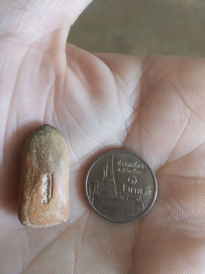 พระเนื้อดินพิมพ์เล็ก(พระยืนปางประทานพร(เจ้าคุณใหญ่)(ผสมผงเก่าแม่ชีบุญเรือน)วัดอาวุธวิกสิตาราม(จังหวัดกรุงเทพฯปี2514))พระเครื่องรางของมงคล รูปที่ 10