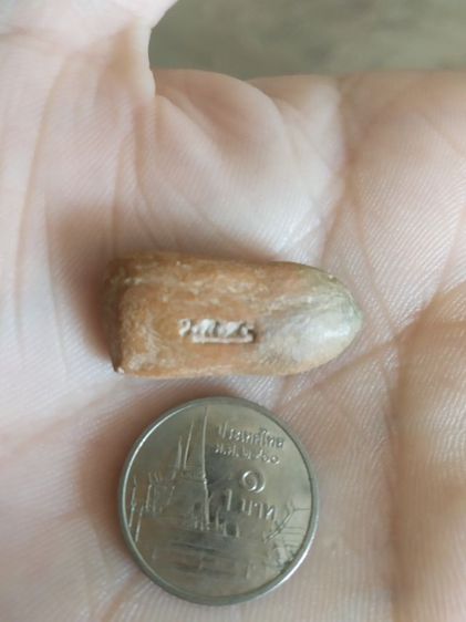 พระเนื้อดินพิมพ์เล็ก(พระยืนปางประทานพร(เจ้าคุณใหญ่)(ผสมผงเก่าแม่ชีบุญเรือน)วัดอาวุธวิกสิตาราม(จังหวัดกรุงเทพฯปี2514))พระเครื่องรางของมงคล รูปที่ 11