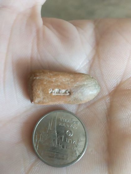 พระเนื้อดินพิมพ์เล็ก(พระยืนปางประทานพร(เจ้าคุณใหญ่)(ผสมผงเก่าแม่ชีบุญเรือน)วัดอาวุธวิกสิตาราม(จังหวัดกรุงเทพฯปี2514))พระเครื่องรางของมงคล รูปที่ 12