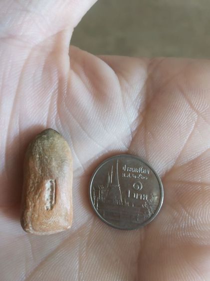 พระเนื้อดินพิมพ์เล็ก(พระยืนปางประทานพร(เจ้าคุณใหญ่)(ผสมผงเก่าแม่ชีบุญเรือน)วัดอาวุธวิกสิตาราม(จังหวัดกรุงเทพฯปี2514))พระเครื่องรางของมงคล รูปที่ 9