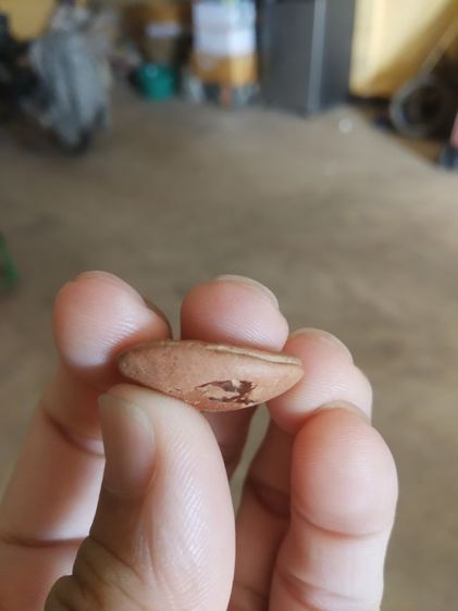 พระเนื้อดินผิวแดง(พระกลีบบัวลีลาเปลวเพลิง(พระหลวงพ่ออ่ำ)(วัดชีปะขาว)(จังหวัดสุพรรณบุรี))พระบ้านพระเครื่องรางของมงคล รูปที่ 15