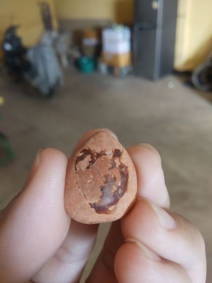 พระเนื้อดินผิวแดง(พระกลีบบัวลีลาเปลวเพลิง(พระหลวงพ่ออ่ำ)(วัดชีปะขาว)(จังหวัดสุพรรณบุรี))พระบ้านพระเครื่องรางของมงคล รูปที่ 3