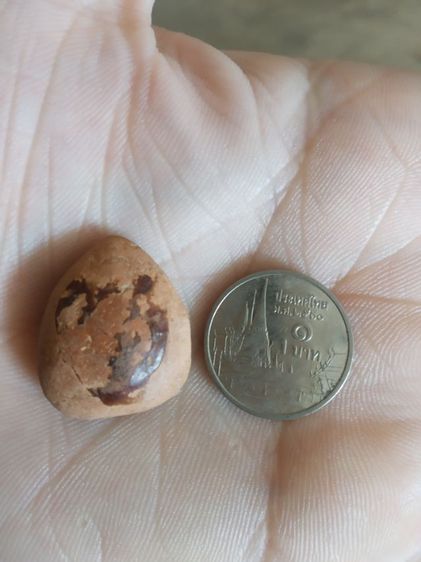 พระเนื้อดินผิวแดง(พระกลีบบัวลีลาเปลวเพลิง(พระหลวงพ่ออ่ำ)(วัดชีปะขาว)(จังหวัดสุพรรณบุรี))พระบ้านพระเครื่องรางของมงคล รูปที่ 9