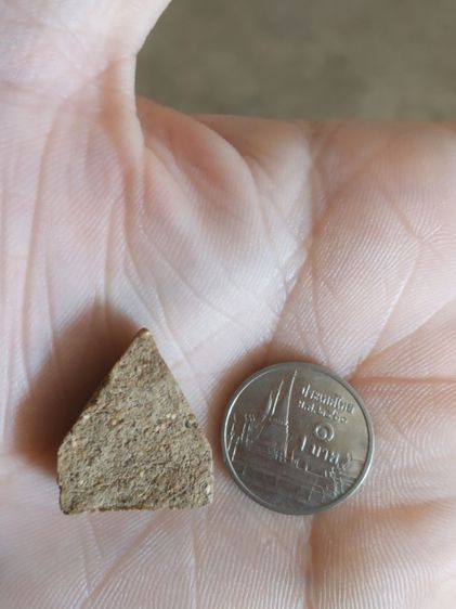 พระเนื้อว่านผสมผง(พระนางพญาพิมพ์พระพุทธหลังเรียบเนื้อสีน้ำตาลเข้ม(270301)(ไม่ทราบพระเกจิที่สร้าง))พระบ้านพระเครื่องรางของมงคล รูปที่ 12