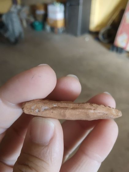 พระเนื้อดิน(พระขุนแผนเนื้อดินหลังเรียบ(พระใหม่ไม่ค่อยสวยขอคนรับได้)(270332)(ไม่ทราบพระเกจิที่สร้าง))พระบ้านพระเครื่องรางของมงคล รูปที่ 13