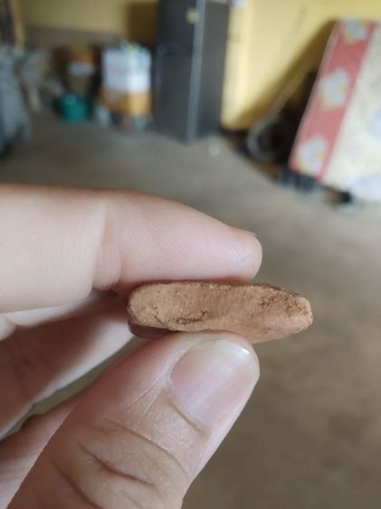 พระเนื้อดิน(พระขุนแผนเนื้อดินหลังเรียบ(พระใหม่ไม่ค่อยสวยขอคนรับได้)(270332)(ไม่ทราบพระเกจิที่สร้าง))พระบ้านพระเครื่องรางของมงคล รูปที่ 16