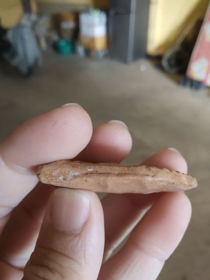 พระเนื้อดิน(พระขุนแผนเนื้อดินหลังเรียบ(พระใหม่ไม่ค่อยสวยขอคนรับได้)(270332)(ไม่ทราบพระเกจิที่สร้าง))พระบ้านพระเครื่องรางของมงคล รูปที่ 14