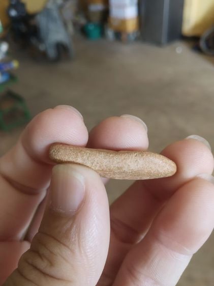 พระเนื้อดิน(พระพิมพ์พระปางลีลาสวรรค์ยืนหรือพระปางลีลากำแพงเขย่ง(พระใหม่)(280310)(ไม่ทราบพระเกจิที่สร้าง))พระบ้านพระเครื่องรางของมงคล รูปที่ 18