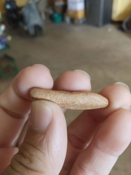 พระเนื้อดิน(พระพิมพ์พระปางลีลาสวรรค์ยืนหรือพระปางลีลากำแพงเขย่ง(พระใหม่)(280310)(ไม่ทราบพระเกจิที่สร้าง))พระบ้านพระเครื่องรางของมงคล รูปที่ 16