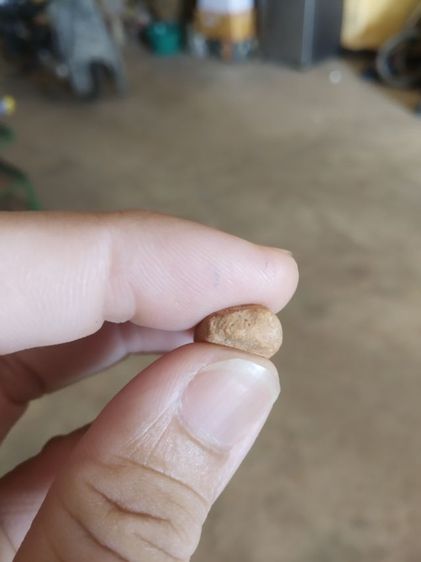 พระเนื้อดิน(พระพิมพ์พระปางลีลาสวรรค์ยืนหรือพระปางลีลากำแพงเขย่ง(พระใหม่)(280310)(ไม่ทราบพระเกจิที่สร้าง))พระบ้านพระเครื่องรางของมงคล รูปที่ 14