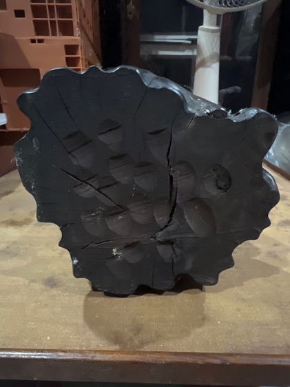 จีกงไม้เก่า รูปที่ 3