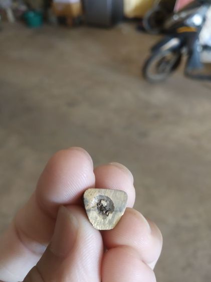 พระเนื้อทองเหลืองพิมพ์เล็ก(พระรูปหล่อพระหลวงปู่ปลั่ง(ฐิตวิริโย)วัดห้วยรอบ(ไม่ทราบรุ่น)(จังหวัดอุทัยธานี))พระบ้านพักเครื่องรางของมงคล รูปที่ 5