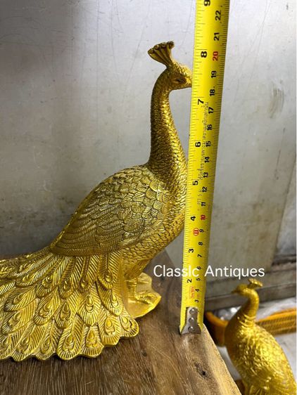 นกยูง ทองเหลือง กะไหล่ทองA1 รูปที่ 7