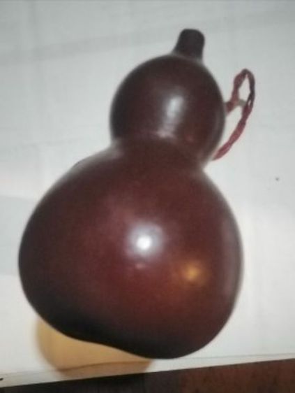 น้ำเต้านำโช​ค รูปที่ 2