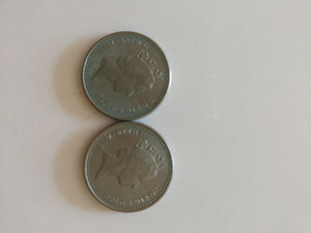เหรียญกษาปณ์เก่าพิมพ์เล็ก(เหรียญกษาปณ์สหราชอาณาจักรและไอร์แลนด์เหนือ(ปีคริสตศักราช1991))เหรียญต่างประเทศเก่าสะสมหรือเอาไว้โชว์ รูปที่ 13