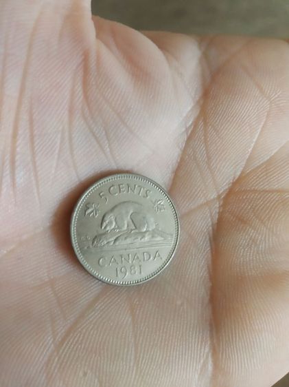 เหรียญกษาปณ์เก่า(เหรียญดอลลาร์แคนาดาชนิด5เซนต์(ปีคริสตศักราช1981)(ทำจากนิกเกิล)หลังพระนางเจ้าอลิซาเบธที่สอง)เหรียญกษาปณ์เก่าสะสมและโชว์ รูปที่ 11
