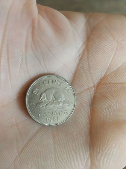 เหรียญกษาปณ์เก่า(เหรียญดอลลาร์แคนาดาชนิด5เซนต์(ปีคริสตศักราช1981)(ทำจากนิกเกิล)หลังพระนางเจ้าอลิซาเบธที่สอง)เหรียญกษาปณ์เก่าสะสมและโชว์ รูปที่ 9