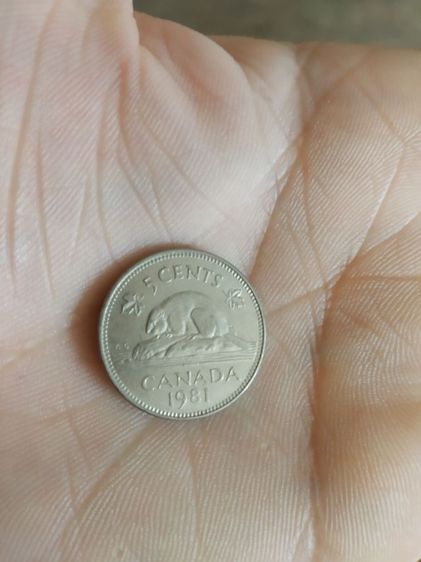 เหรียญกษาปณ์เก่า(เหรียญดอลลาร์แคนาดาชนิด5เซนต์(ปีคริสตศักราช1981)(ทำจากนิกเกิล)หลังพระนางเจ้าอลิซาเบธที่สอง)เหรียญกษาปณ์เก่าสะสมและโชว์ รูปที่ 10