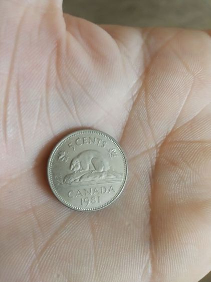 เหรียญกษาปณ์เก่า(เหรียญดอลลาร์แคนาดาชนิด5เซนต์(ปีคริสตศักราช1981)(ทำจากนิกเกิล)หลังพระนางเจ้าอลิซาเบธที่สอง)เหรียญกษาปณ์เก่าสะสมและโชว์ รูปที่ 12