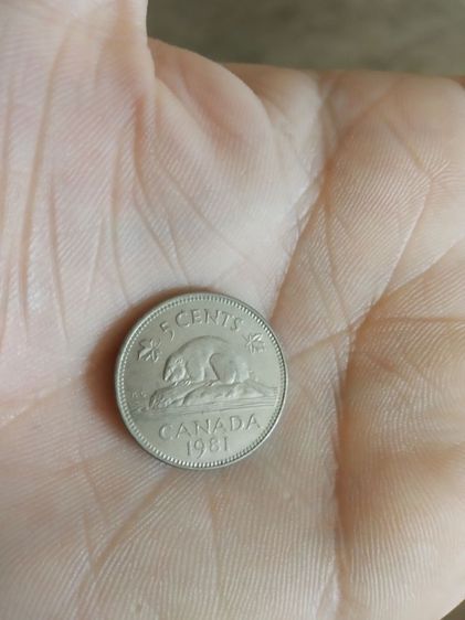 เหรียญกษาปณ์เก่า(เหรียญดอลลาร์แคนาดาชนิด5เซนต์(ปีคริสตศักราช1981)(ทำจากนิกเกิล)หลังพระนางเจ้าอลิซาเบธที่สอง)เหรียญกษาปณ์เก่าสะสมและโชว์ รูปที่ 14
