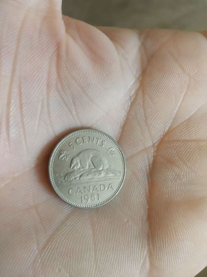 เหรียญกษาปณ์เก่า(เหรียญดอลลาร์แคนาดาชนิด5เซนต์(ปีคริสตศักราช1981)(ทำจากนิกเกิล)หลังพระนางเจ้าอลิซาเบธที่สอง)เหรียญกษาปณ์เก่าสะสมและโชว์ รูปที่ 15