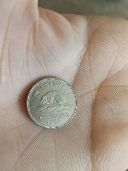 เหรียญกษาปณ์เก่า(เหรียญดอลลาร์แคนาดาชนิด5เซนต์(ปีคริสตศักราช1981)(ทำจากนิกเกิล)หลังพระนางเจ้าอลิซาเบธที่สอง)เหรียญกษาปณ์เก่าสะสมและโชว์ รูปที่ 8