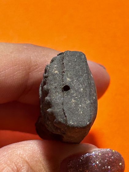 หลวงปู่ทวด เนื้อว่าน108 ผสมดินกากยายักษ์ หลังโรยแร่ ฝังตะกรุดเงินนารายณ์แปลงรูป อธิษฐานจิตโดย อาจารย์นอง วัดทรายขาว ปี 2537 รูปที่ 7